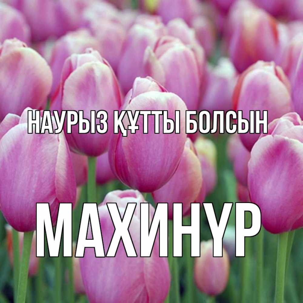 Күн сайын ашық хат с именем, МАХИНҮР Наурыз құтты болсын на наурыз  день 3 Онлайн тегін жүктеп алу тілектері бар керемет карта 