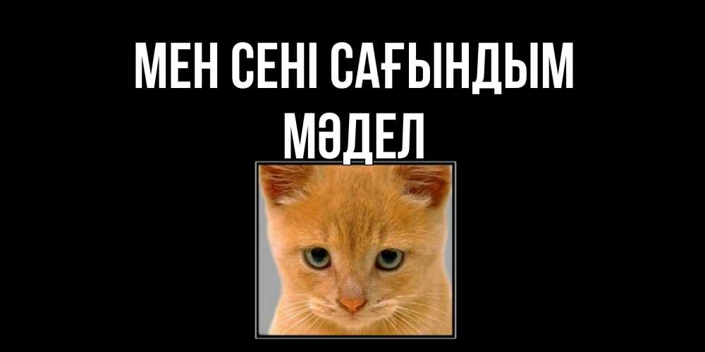 Күн сайын ашық хат с именем, МӘДЕЛ Мен сені сағындым открытки рыжий котенок скучает по тебе Онлайн тегін жүктеп алу тілектері бар керемет карта 