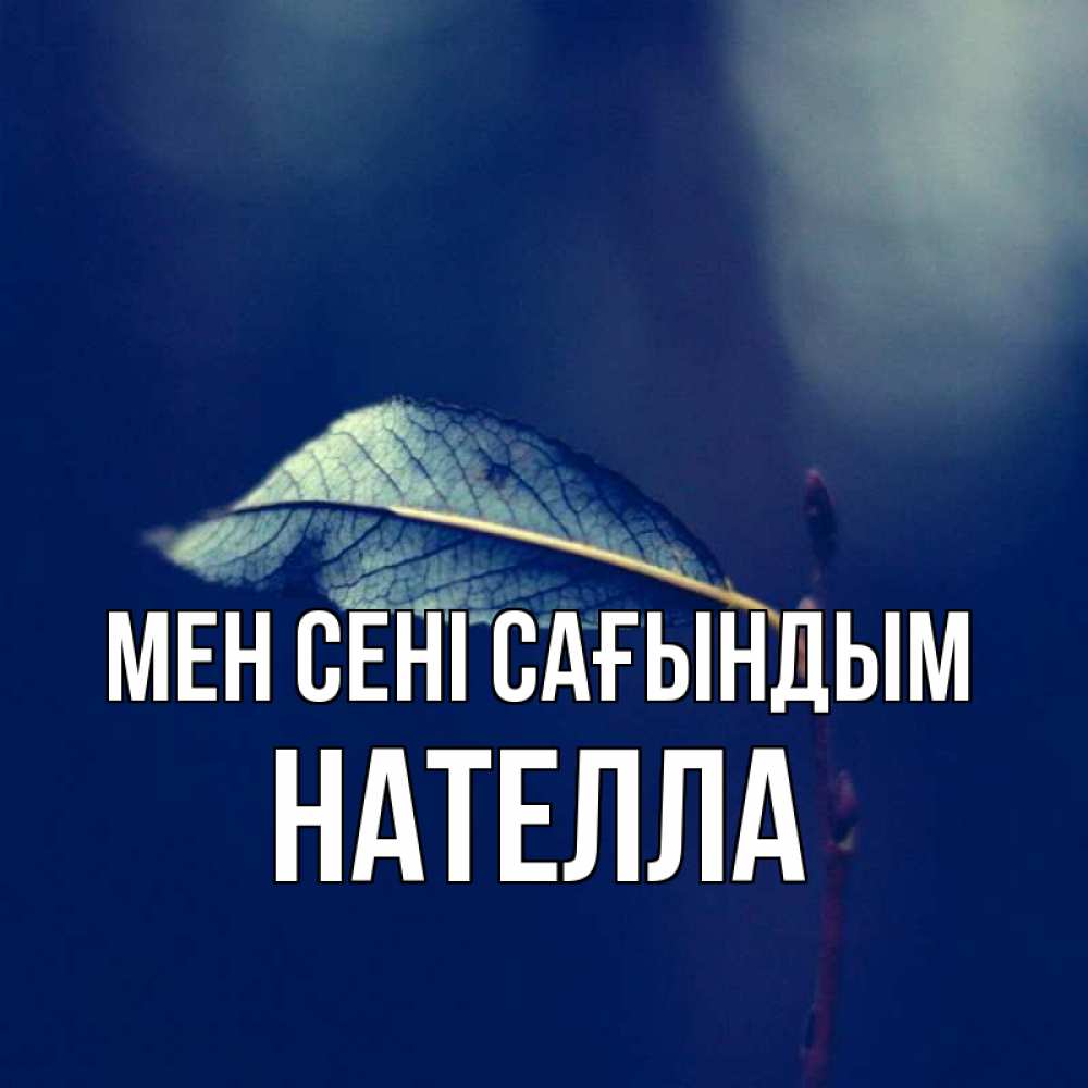 Күн сайын ашық хат с именем, Нателла Мен сені сағындым одна ветка 1 Онлайн тегін жүктеп алу тілектері бар керемет карта 