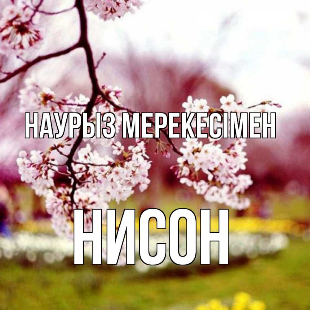 Күн сайын ашық хат с именем, Нисон Наурыз мерекесімен яблоня Онлайн тегін жүктеп алу тілектері бар керемет карта 