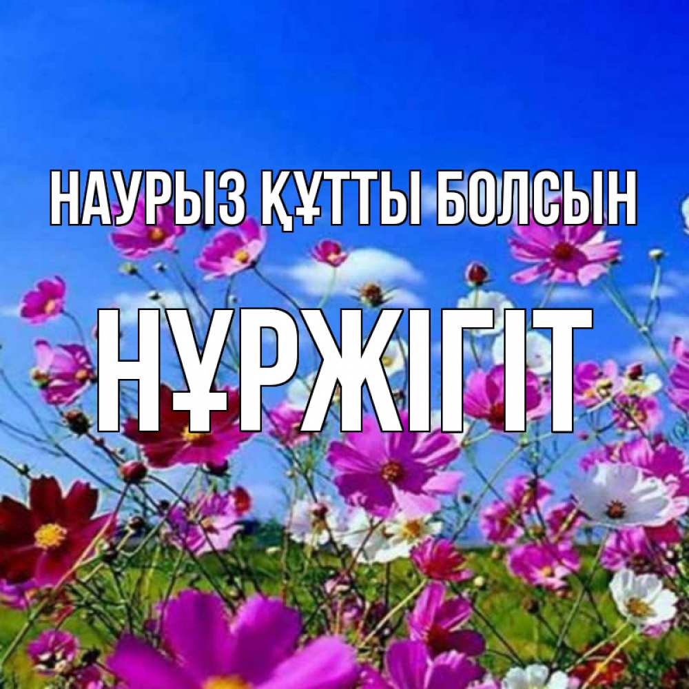 Күн сайын ашық хат с именем, НҰРЖІГІТ Наурыз құтты болсын цветы Онлайн тегін жүктеп алу тілектері бар керемет карта 