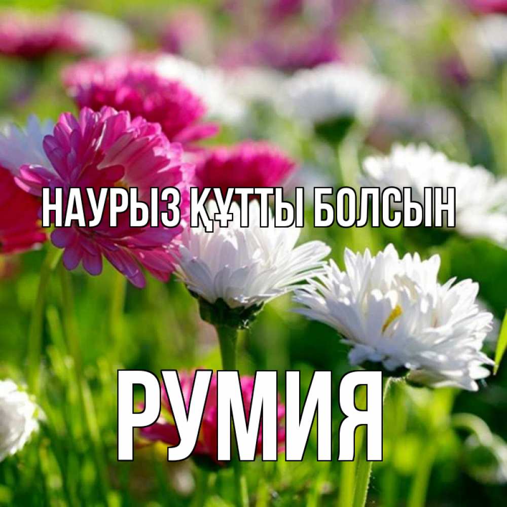 Күн сайын ашық хат с именем, Румия Наурыз құтты болсын наурыз Онлайн тегін жүктеп алу тілектері бар керемет карта 