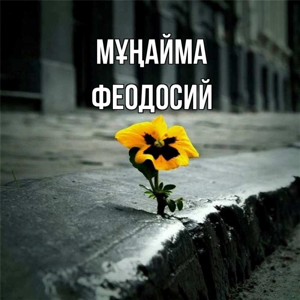 Күн сайын ашық хат с именем, Феодосий Мұңайма не сдавайся Онлайн тегін жүктеп алу тілектері бар керемет карта 