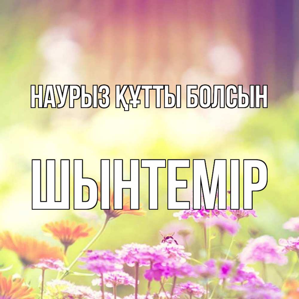 Күн сайын ашық хат с именем, ШЫНТЕМІР Наурыз құтты болсын цветы весна Онлайн тегін жүктеп алу тілектері бар керемет карта 