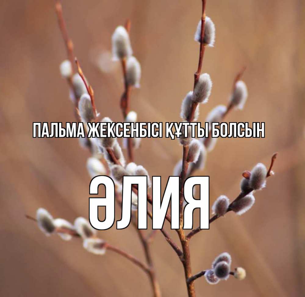 Күн сайын ашық хат с именем, ӘЛИЯ Пальма жексенбісі құтты болсын верба Онлайн тегін жүктеп алу тілектері бар керемет карта 