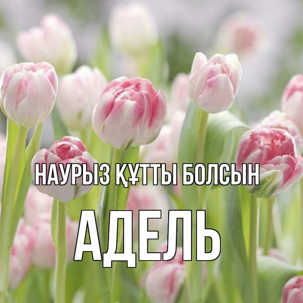 Күн сайын ашық хат с именем, Адель Наурыз құтты болсын цветы Онлайн тегін жүктеп алу тілектері бар керемет карта 
