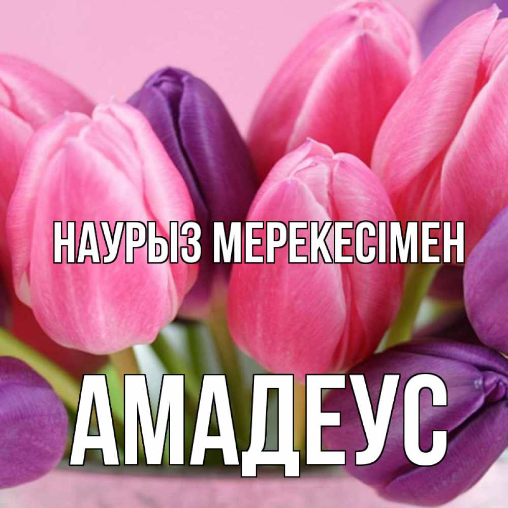 Күн сайын ашық хат с именем, Амадеус Наурыз мерекесімен маме 1 Онлайн тегін жүктеп алу тілектері бар керемет карта 