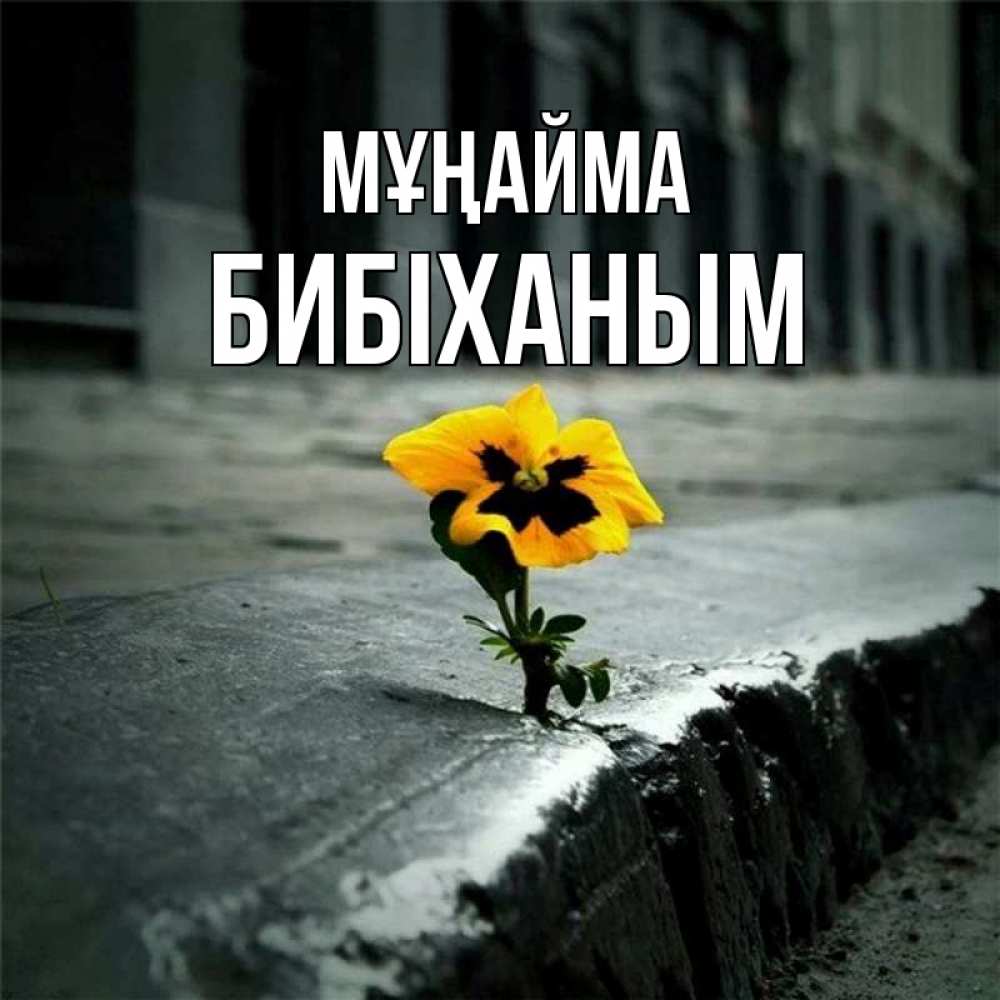 Күн сайын ашық хат с именем, БИБІХАНЫМ Мұңайма не сдавайся Онлайн тегін жүктеп алу тілектері бар керемет карта 