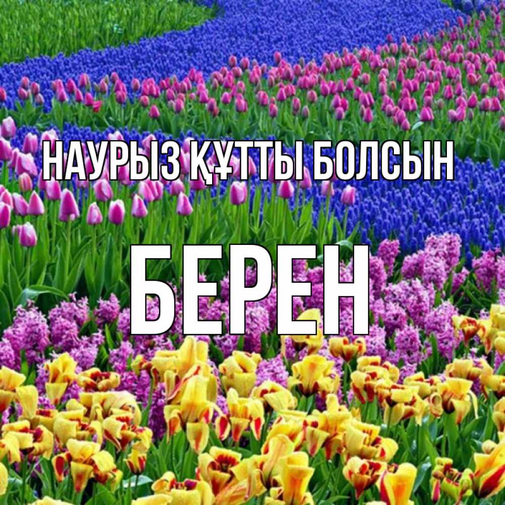 Күн сайын ашық хат с именем, Берен Наурыз құтты болсын цветы Онлайн тегін жүктеп алу тілектері бар керемет карта 