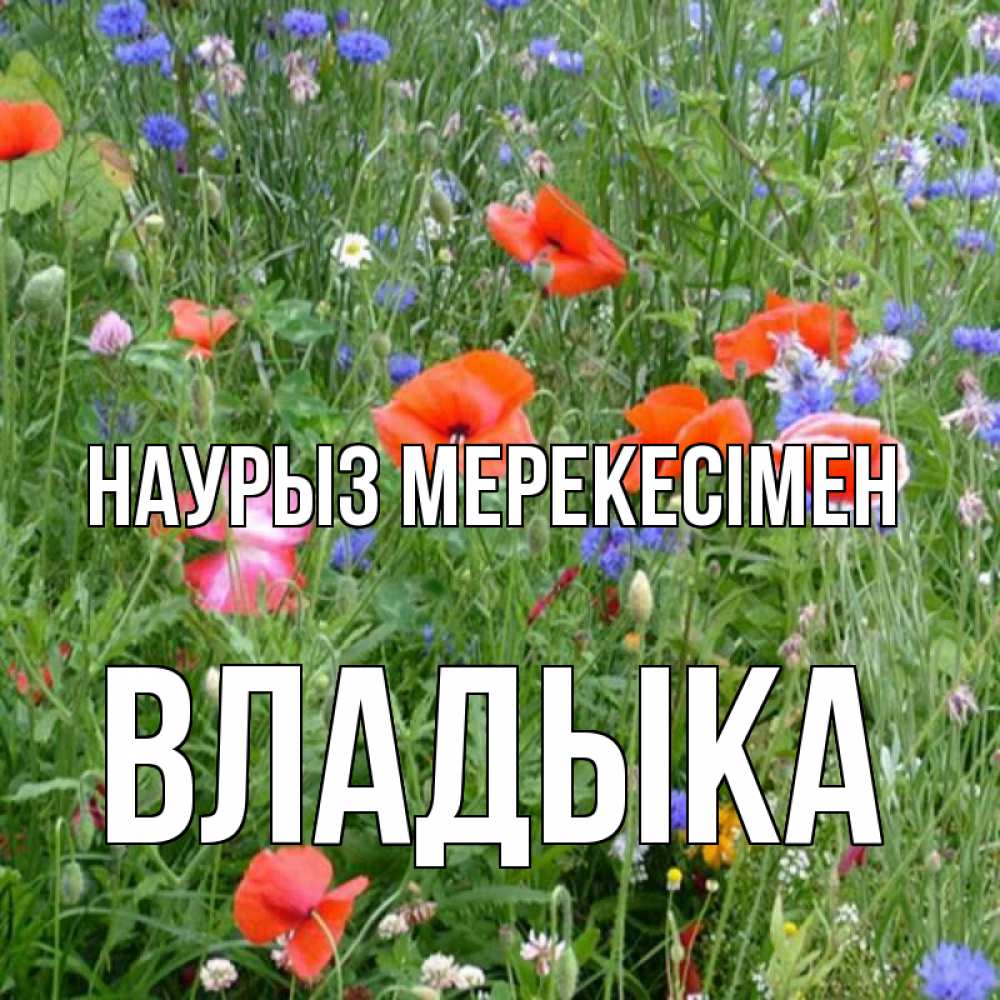 Күн сайын ашық хат с именем, Владыка Наурыз мерекесімен праздник весны наурыз супер открытка Онлайн тегін жүктеп алу тілектері бар керемет карта 