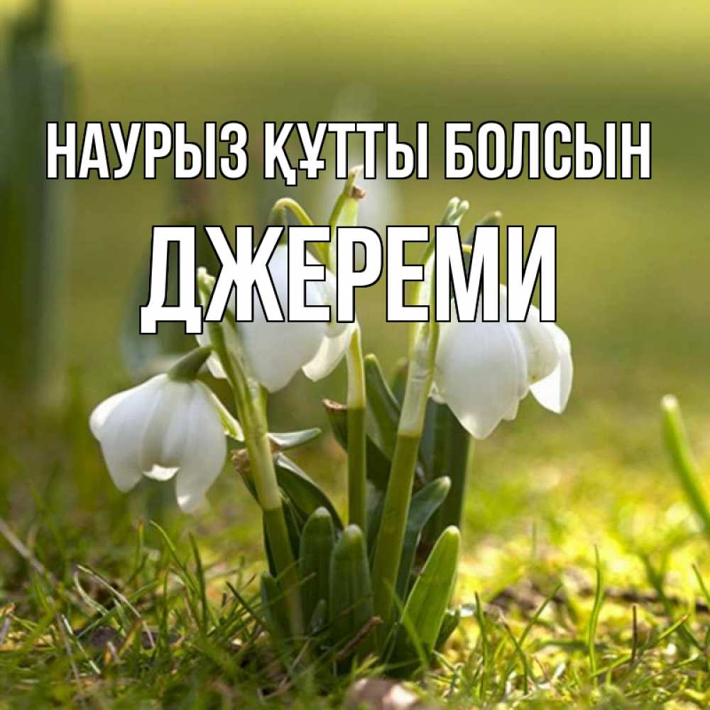 Күн сайын ашық хат с именем, Джереми Наурыз құтты болсын ранние цветы 2 Онлайн тегін жүктеп алу тілектері бар керемет карта 