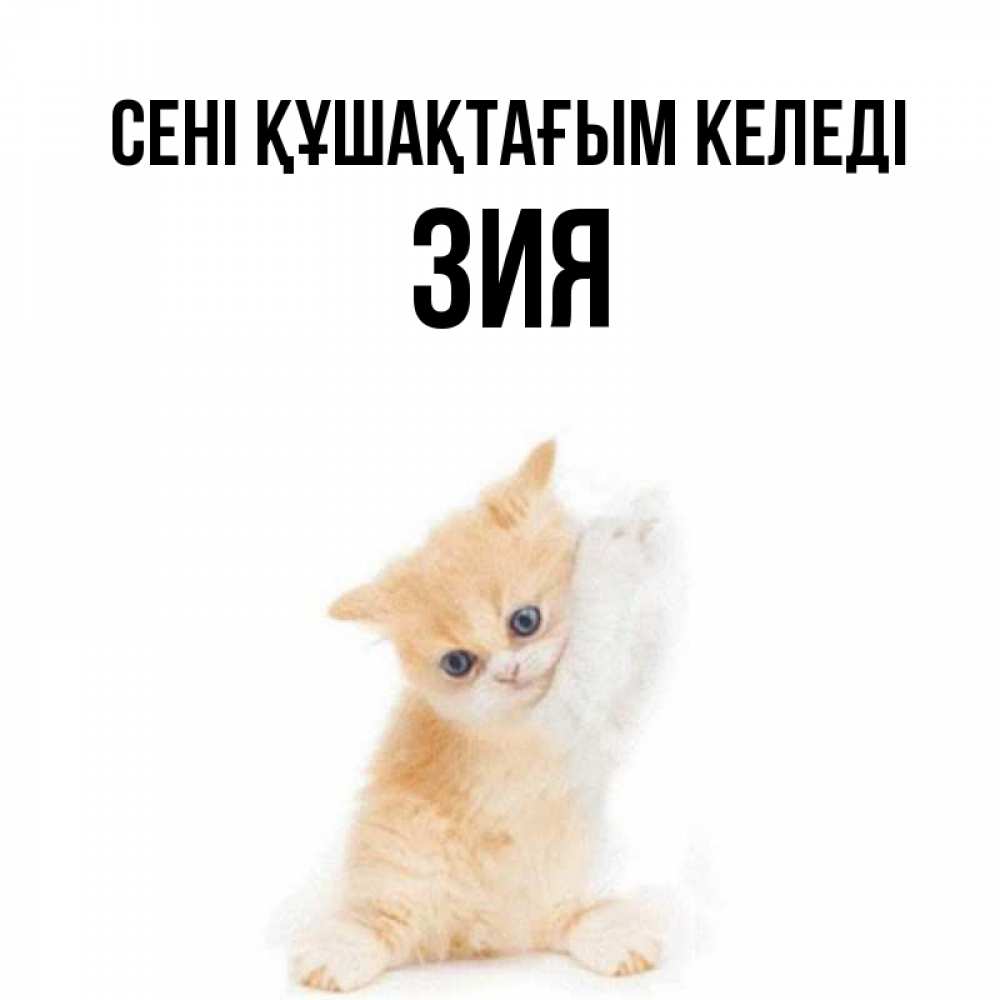 Күн сайын ашық хат с именем, ЗИЯ сені құшақтағым келеді я хочу очень скорее обнимаешек Онлайн тегін жүктеп алу тілектері бар керемет карта 
