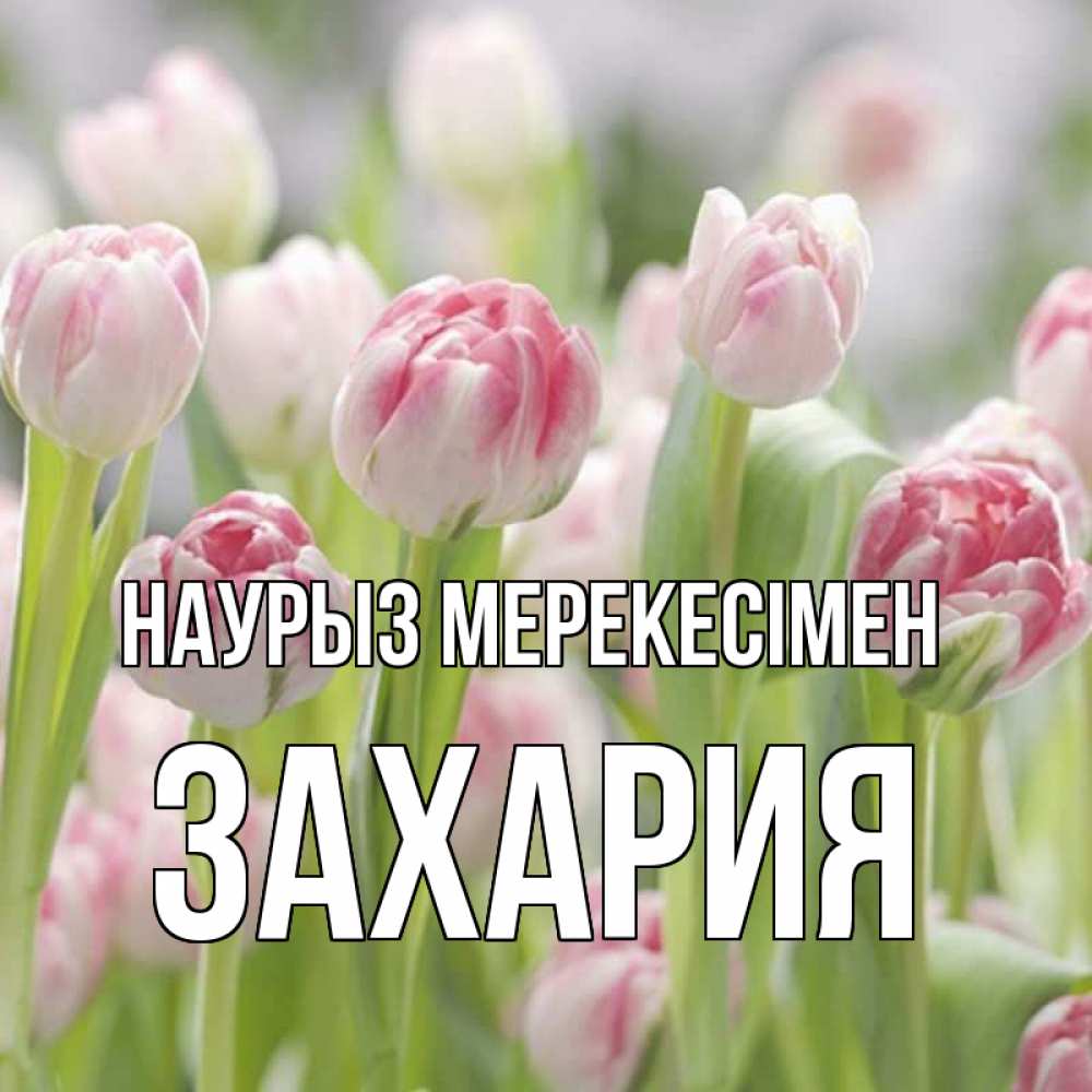 Күн сайын ашық хат с именем, Захария Наурыз мерекесімен цветы Онлайн тегін жүктеп алу тілектері бар керемет карта 
