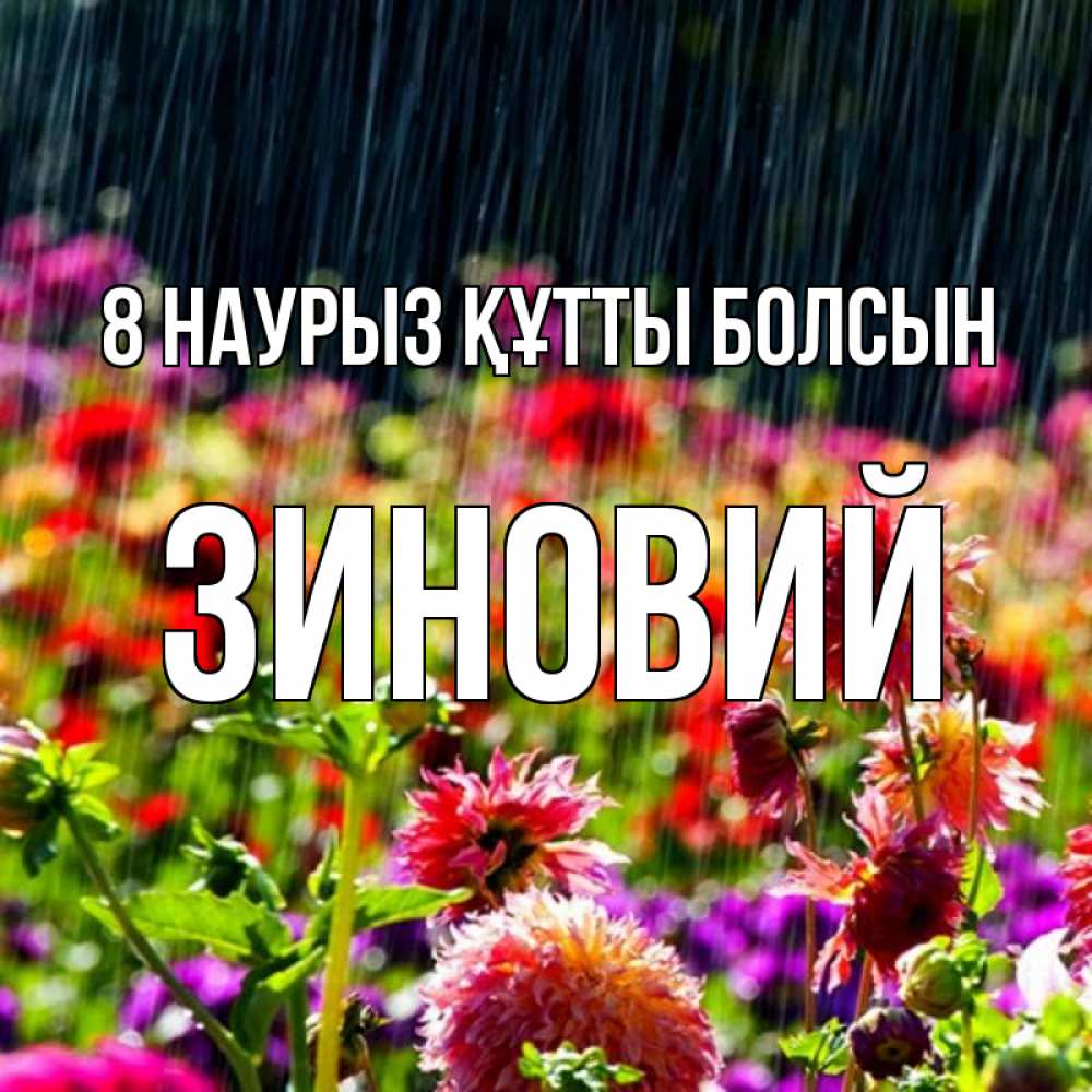 Күн сайын ашық хат с именем, Зиновий 8 наурыз құтты болсын цветы под дождиком к международному женскому дню Онлайн тегін жүктеп алу тілектері бар керемет карта 