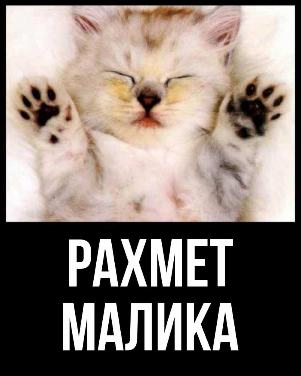 Күн сайын ашық хат с именем, Малика рахмет маленький котенок Онлайн тегін жүктеп алу тілектері бар керемет карта 