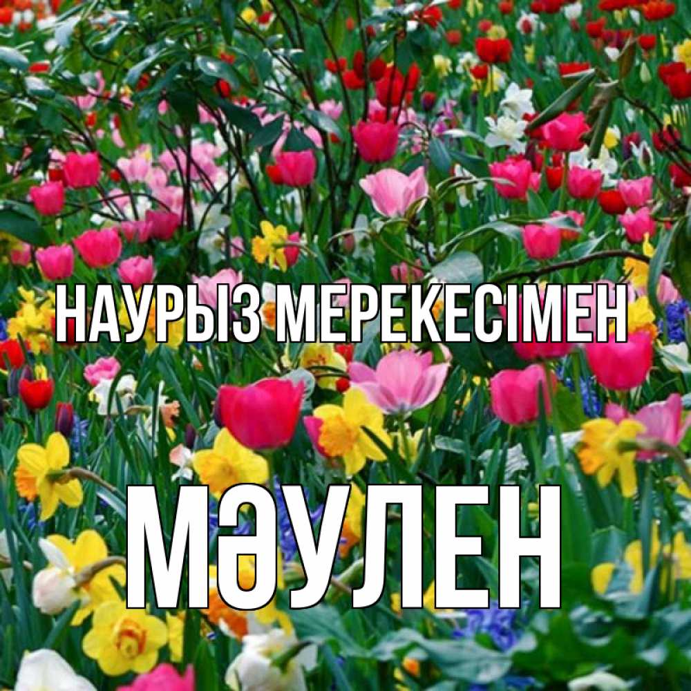 Күн сайын ашық хат с именем, МӘУЛЕН Наурыз мерекесімен с наурызом праздником весны поздравления для женщины Онлайн тегін жүктеп алу тілектері бар керемет карта 