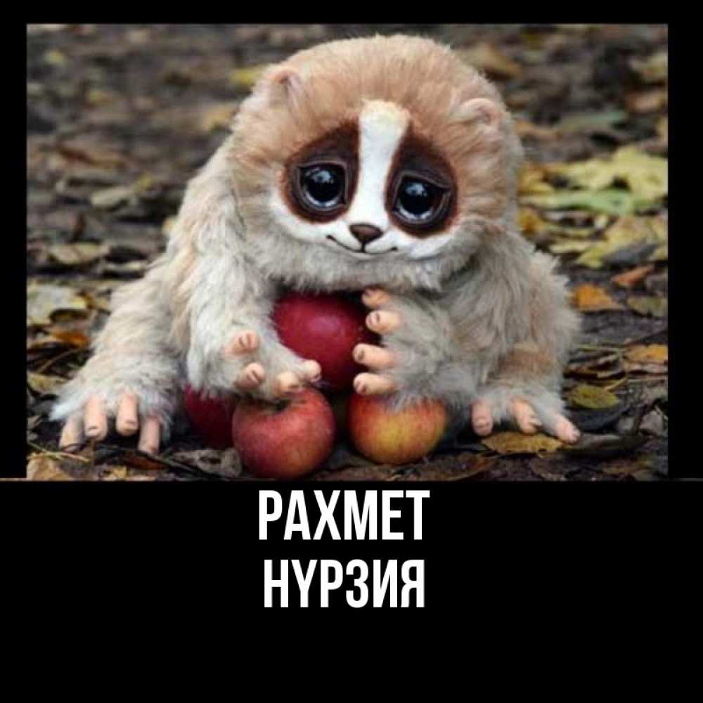 Күн сайын ашық хат с именем, НҮРЗИЯ рахмет прикольное животное Онлайн тегін жүктеп алу тілектері бар керемет карта 