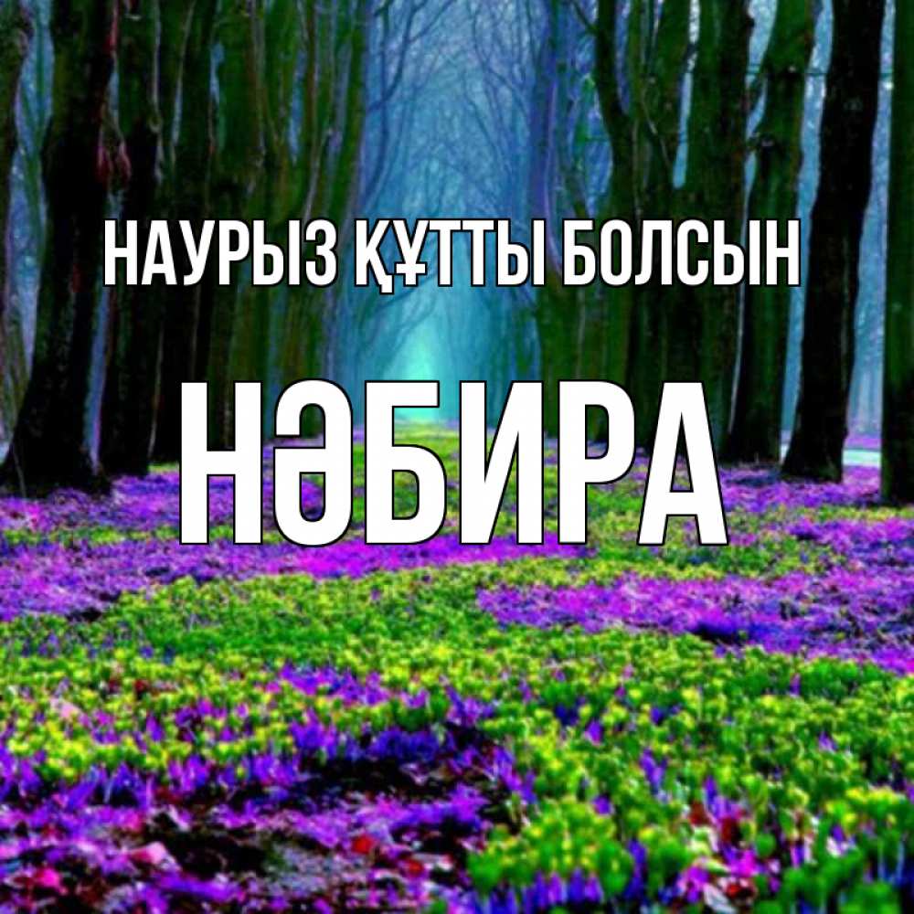 Күн сайын ашық хат с именем, НӘБИРА Наурыз құтты болсын фиолетовые цветы в лесу 1 Онлайн тегін жүктеп алу тілектері бар керемет карта 