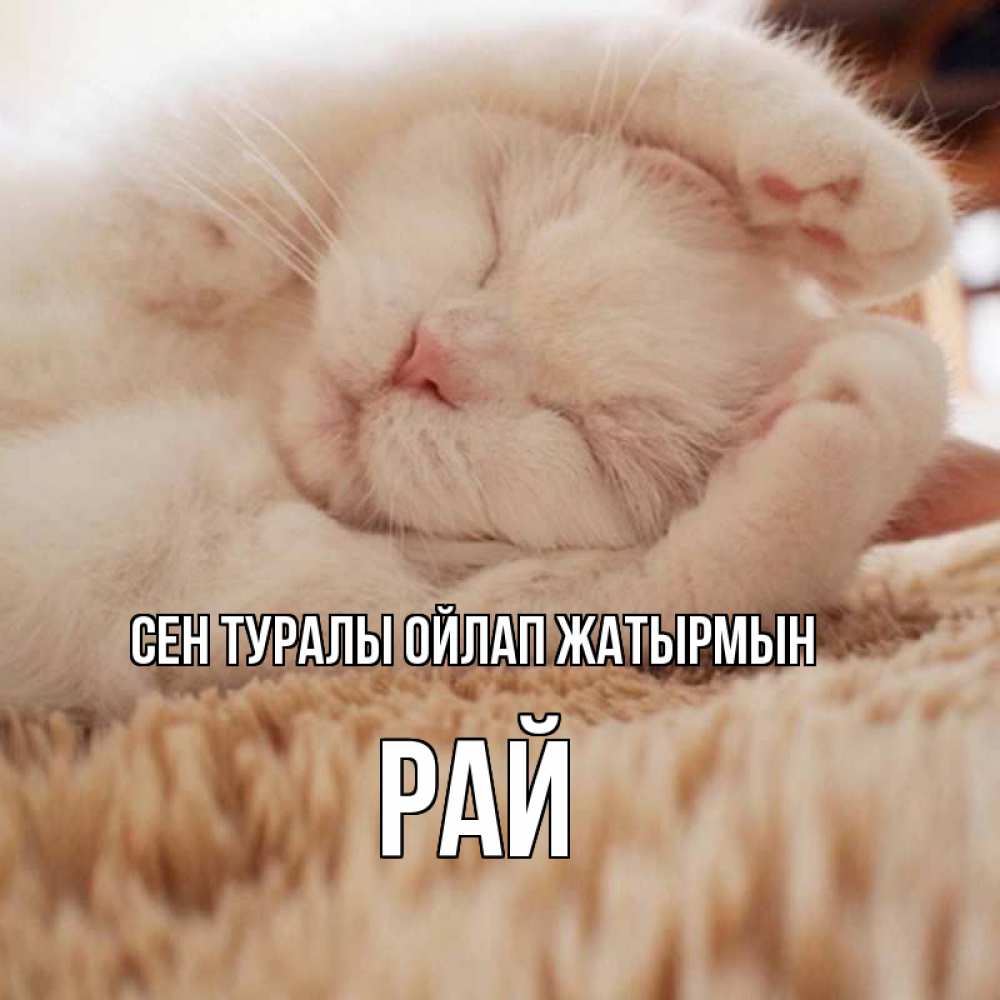 Күн сайын ашық хат с именем, РАЙ Сен туралы ойлап жатырмын для любимой девушки милота Онлайн тегін жүктеп алу тілектері бар керемет карта 