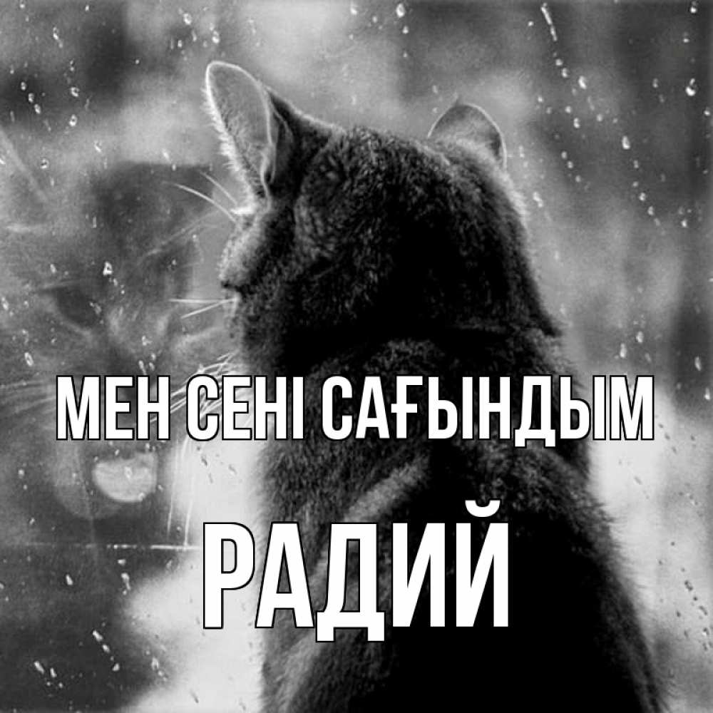 Күн сайын ашық хат с именем, Радий Мен сені сағындым скорее ко мне приходи 1 Онлайн тегін жүктеп алу тілектері бар керемет карта 