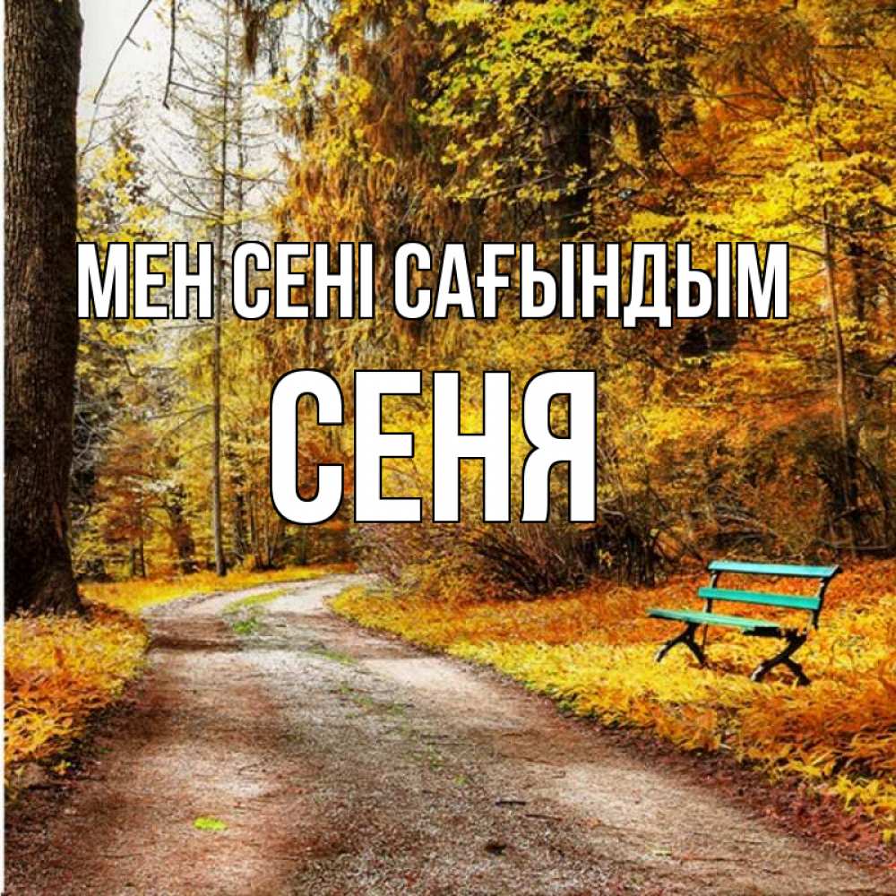 Күн сайын ашық хат с именем, Сеня Мен сені сағындым зеленая лавочка и осенний лес Онлайн тегін жүктеп алу тілектері бар керемет карта 