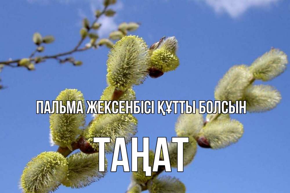 Күн сайын ашық хат с именем, ТАҢАТ Пальма жексенбісі құтты болсын верба Онлайн тегін жүктеп алу тілектері бар керемет карта 