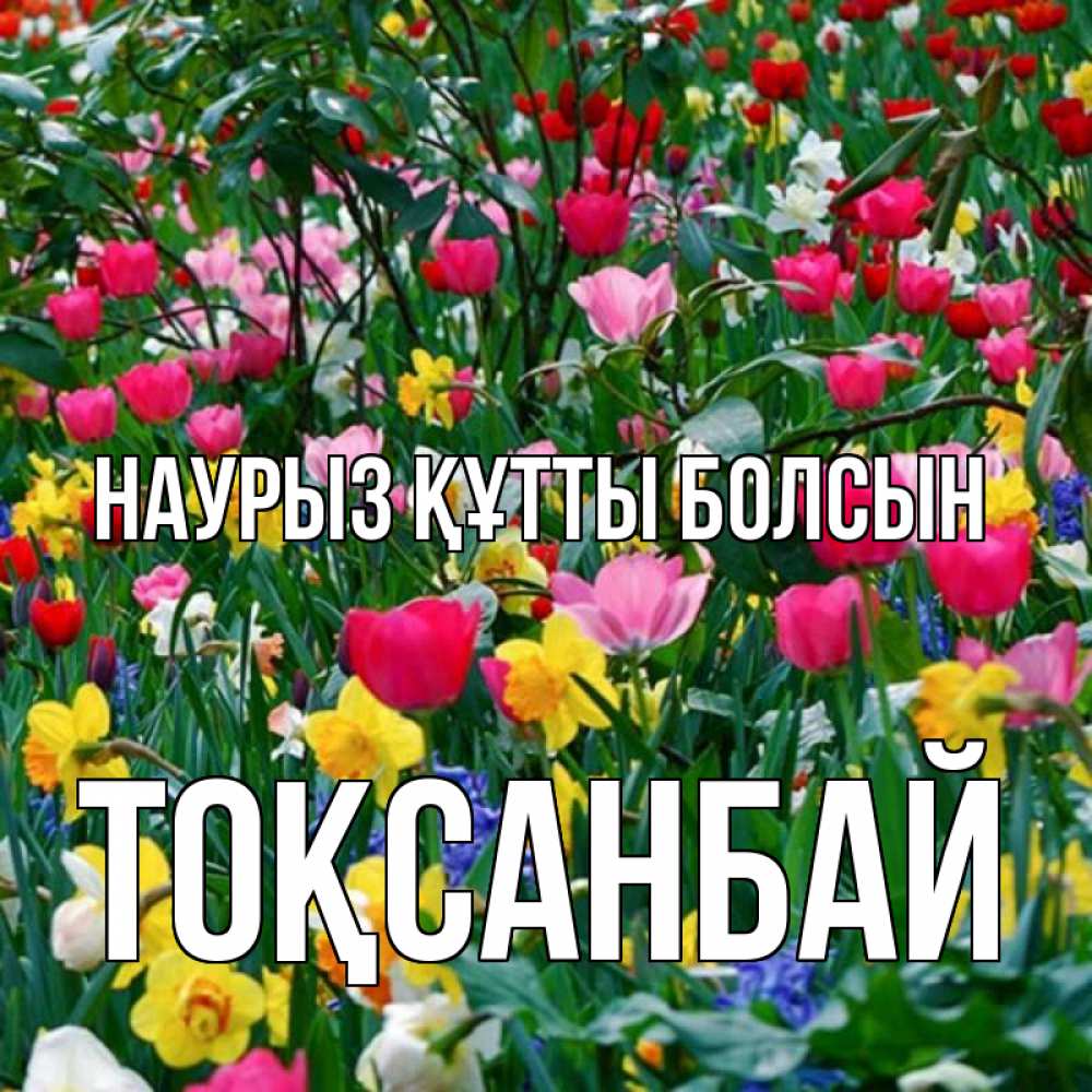 Күн сайын ашық хат с именем, ТОҚСАНБАЙ Наурыз құтты болсын с наурызом поздравления для женщины Онлайн тегін жүктеп алу тілектері бар керемет карта 