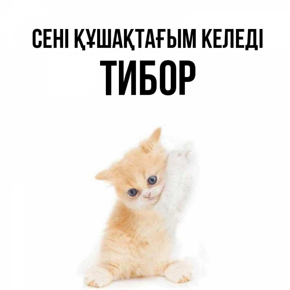 Күн сайын ашық хат с именем, Тибор сені құшақтағым келеді я хочу очень скорее обнимаешек Онлайн тегін жүктеп алу тілектері бар керемет карта 