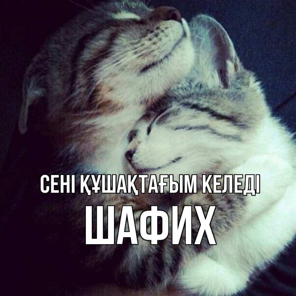 Күн сайын ашық хат с именем, ШАФИХ сені құшақтағым келеді полосатики Онлайн тегін жүктеп алу тілектері бар керемет карта 