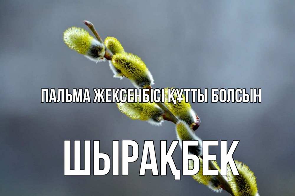 Күн сайын ашық хат с именем, ШЫРАҚБЕК Пальма жексенбісі құтты болсын верба Онлайн тегін жүктеп алу тілектері бар керемет карта 
