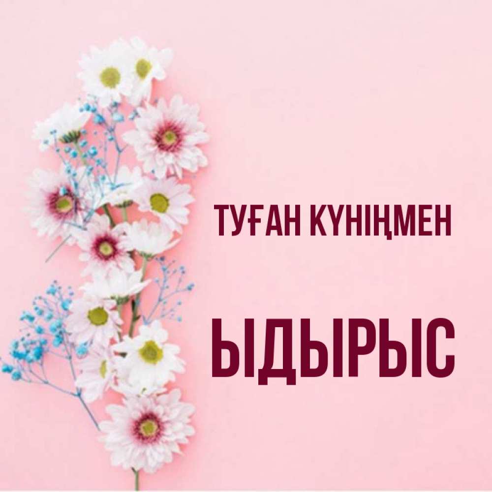 Күн сайын ашық хат с именем, ЫДЫРЫС Туған күніңмен Родная моя с днем рождения тебя картинка с цветами белыми и голубыми Онлайн тегін жүктеп алу тілектері бар керемет карта 