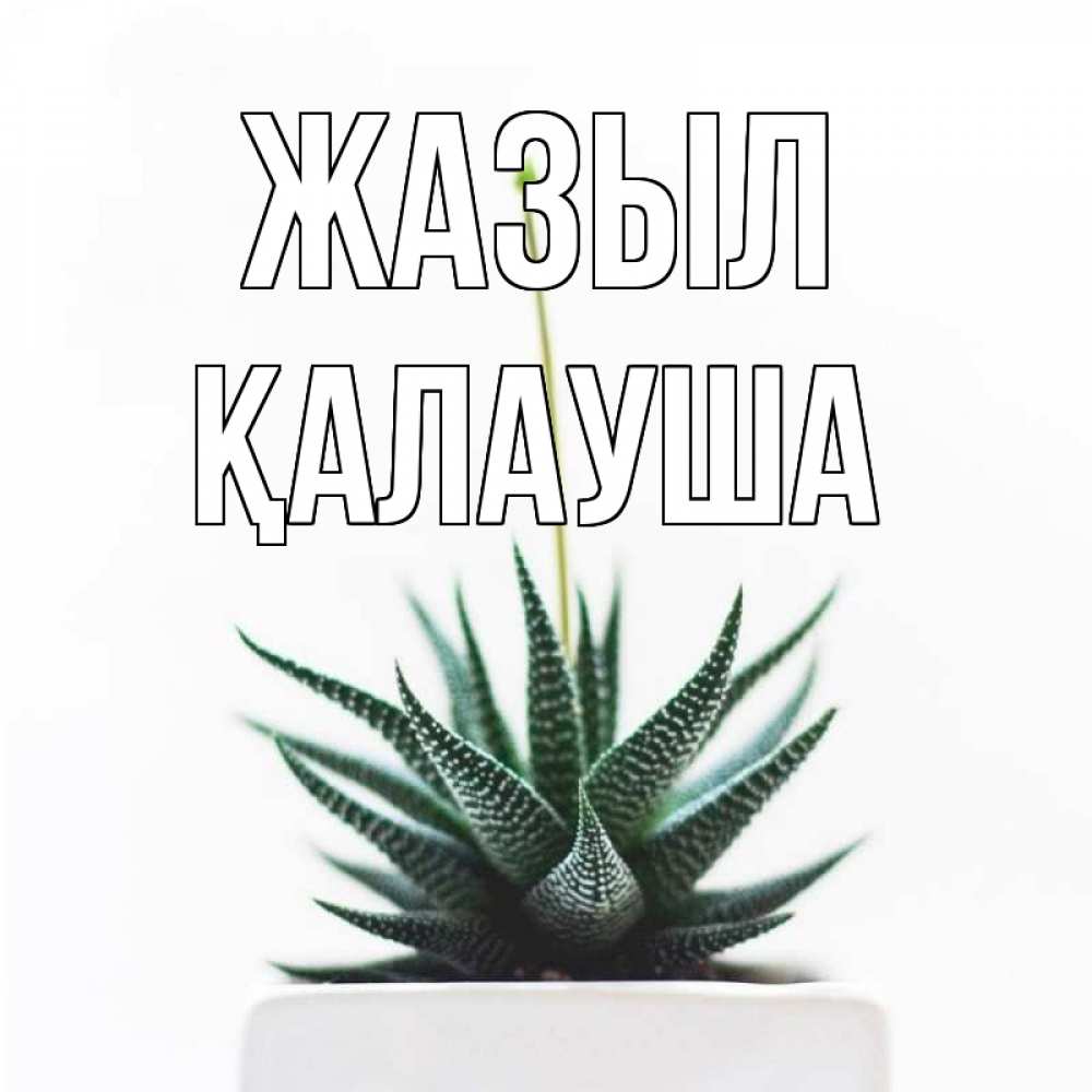 Күн сайын ашық хат с именем, Қалауша Жазыл короче это непонятная колючка Онлайн тегін жүктеп алу тілектері бар керемет карта 