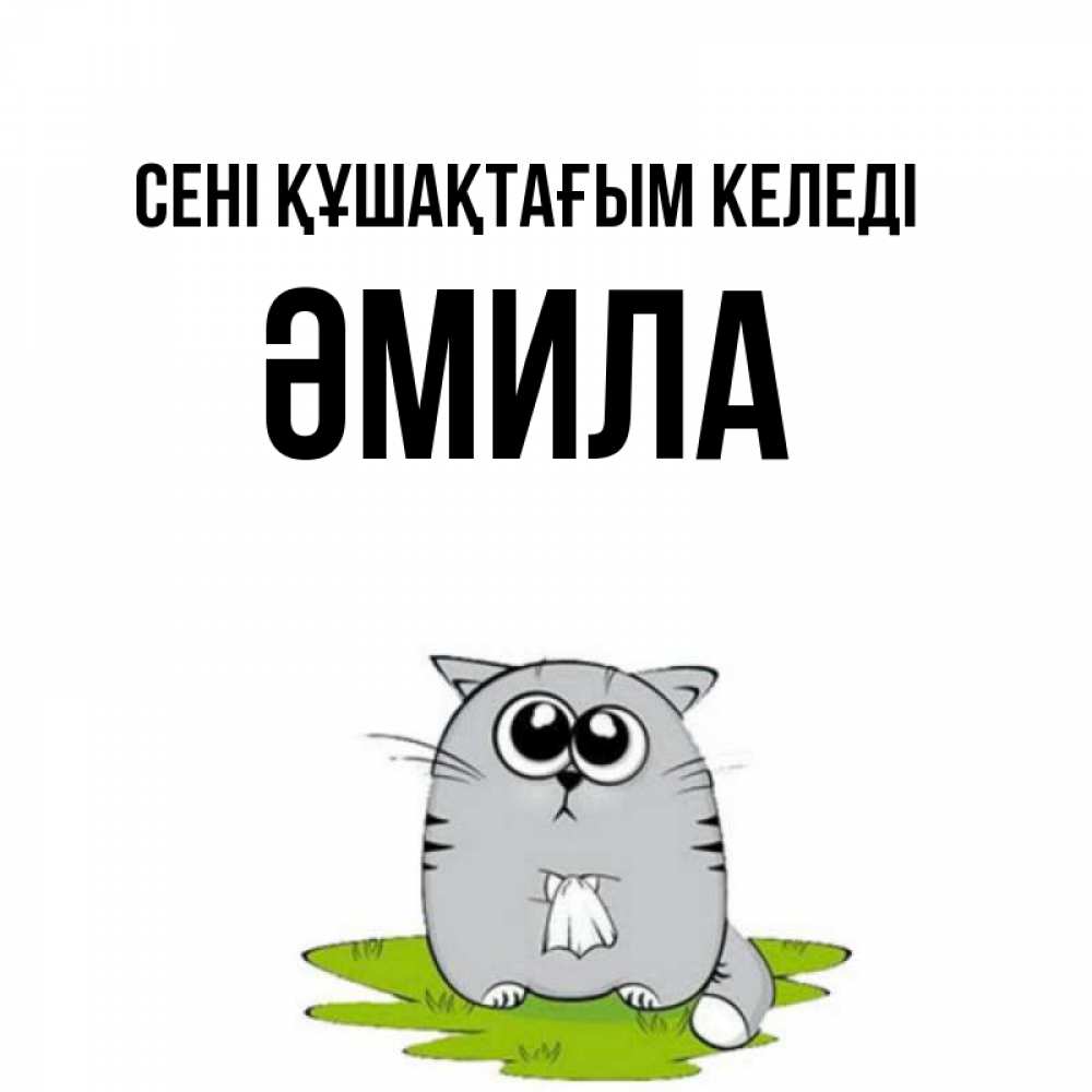Күн сайын ашық хат с именем, ӘМИЛА сені құшақтағым келеді котик теребит платочек сидя на травке Онлайн тегін жүктеп алу тілектері бар керемет карта 