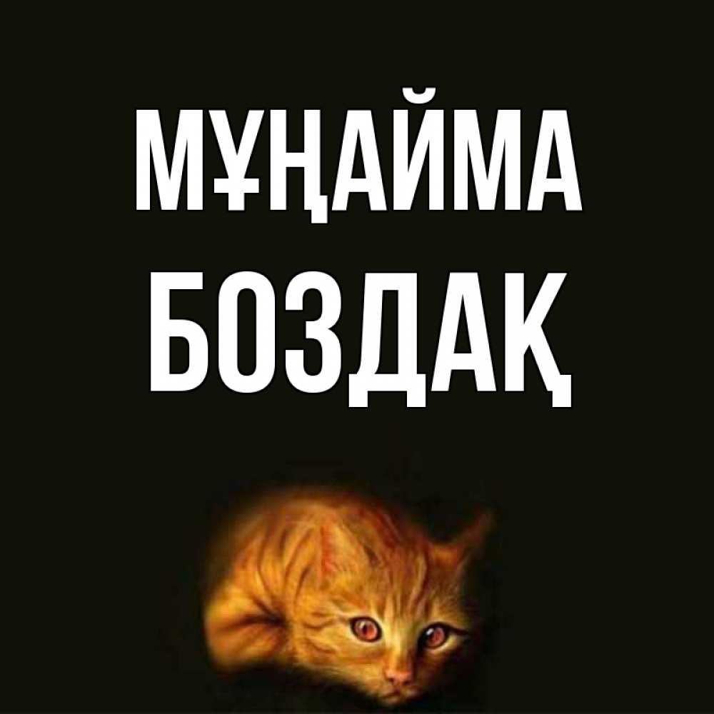 Күн сайын ашық хат с именем, Боздақ Мұңайма лежащий кот в темноте Онлайн тегін жүктеп алу тілектері бар керемет карта 