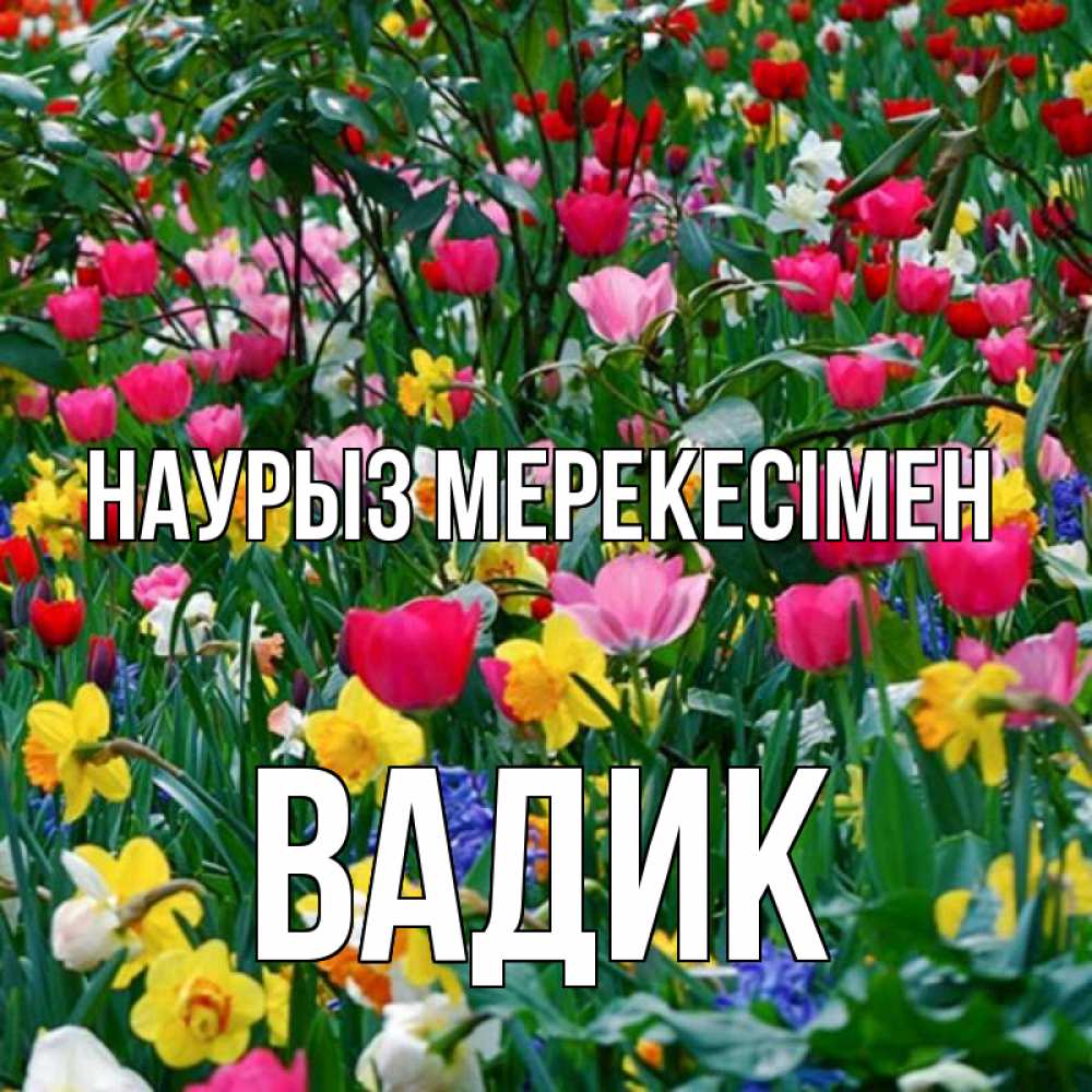 Күн сайын ашық хат с именем, Вадик Наурыз мерекесімен с наурызом праздником весны поздравления для женщины Онлайн тегін жүктеп алу тілектері бар керемет карта 