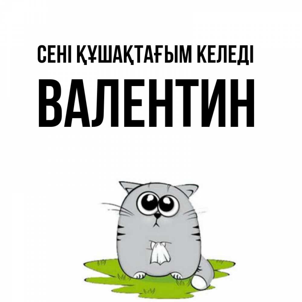Күн сайын ашық хат с именем, Валентин сені құшақтағым келеді котик теребит платочек сидя на травке Онлайн тегін жүктеп алу тілектері бар керемет карта 