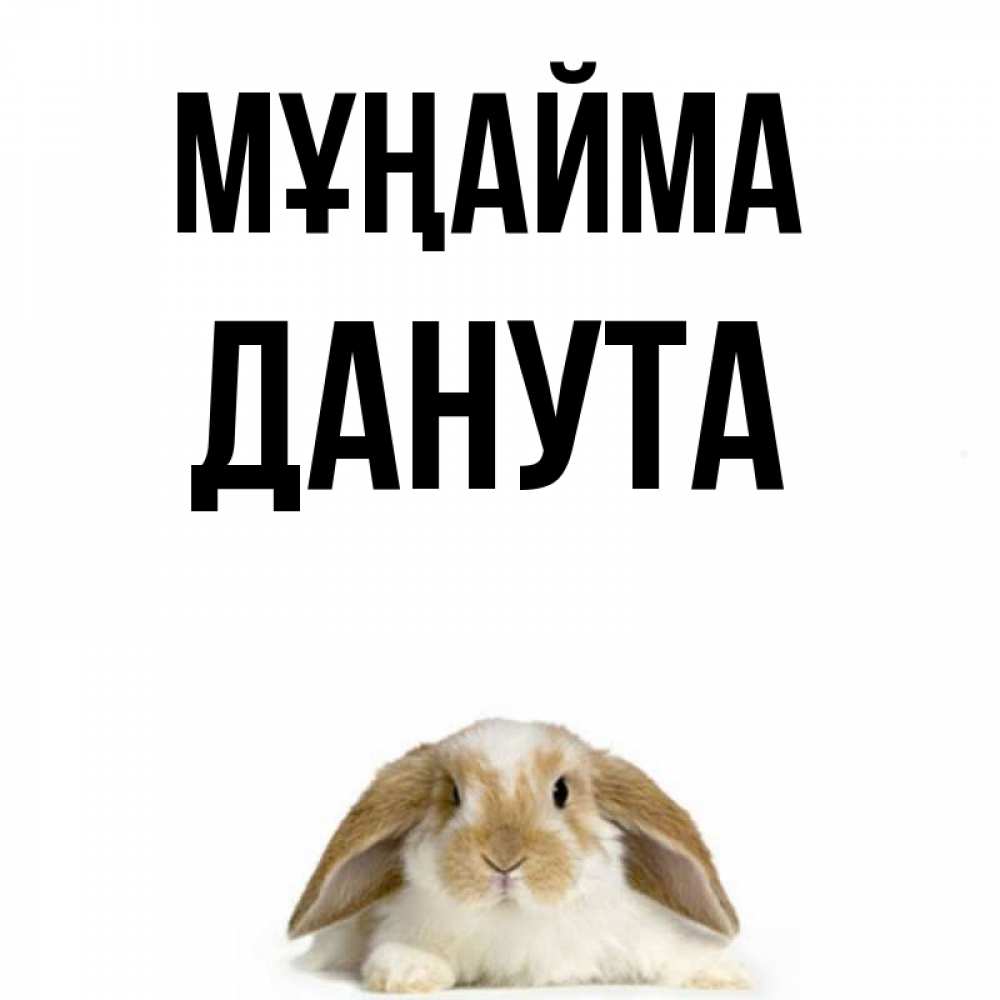Күн сайын ашық хат с именем, Данута Мұңайма коричнево белый заяц с большими ушками Онлайн тегін жүктеп алу тілектері бар керемет карта 