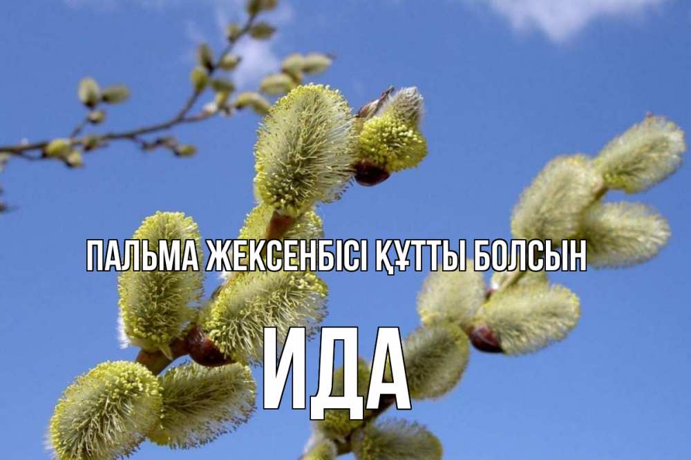 Күн сайын ашық хат с именем, Ида Пальма жексенбісі құтты болсын верба Онлайн тегін жүктеп алу тілектері бар керемет карта 