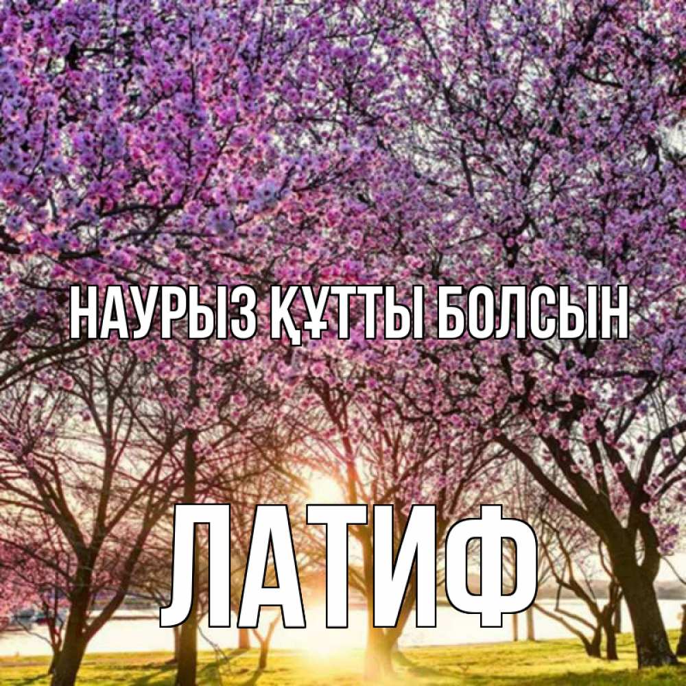 Күн сайын ашық хат с именем, ЛАТИФ Наурыз құтты болсын наурыз Онлайн тегін жүктеп алу тілектері бар керемет карта 