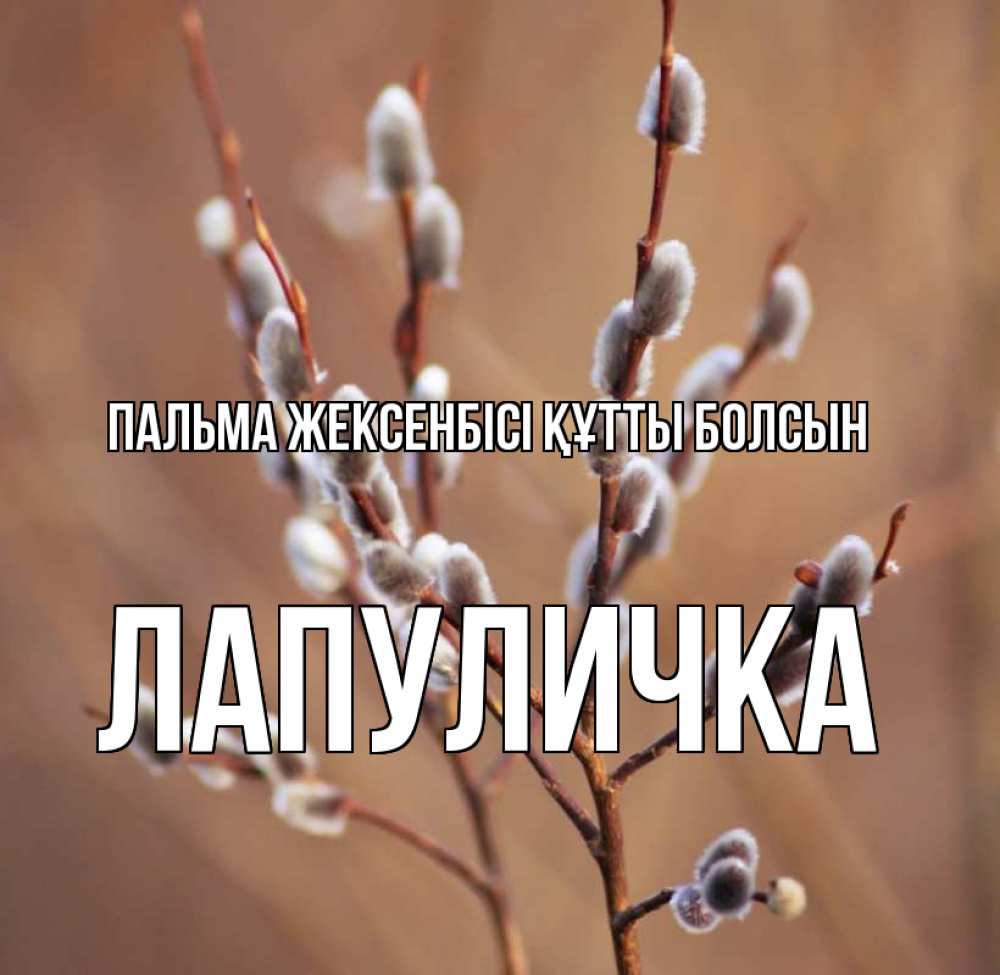 Күн сайын ашық хат с именем, Лапуличка Пальма жексенбісі құтты болсын верба Онлайн тегін жүктеп алу тілектері бар керемет карта 