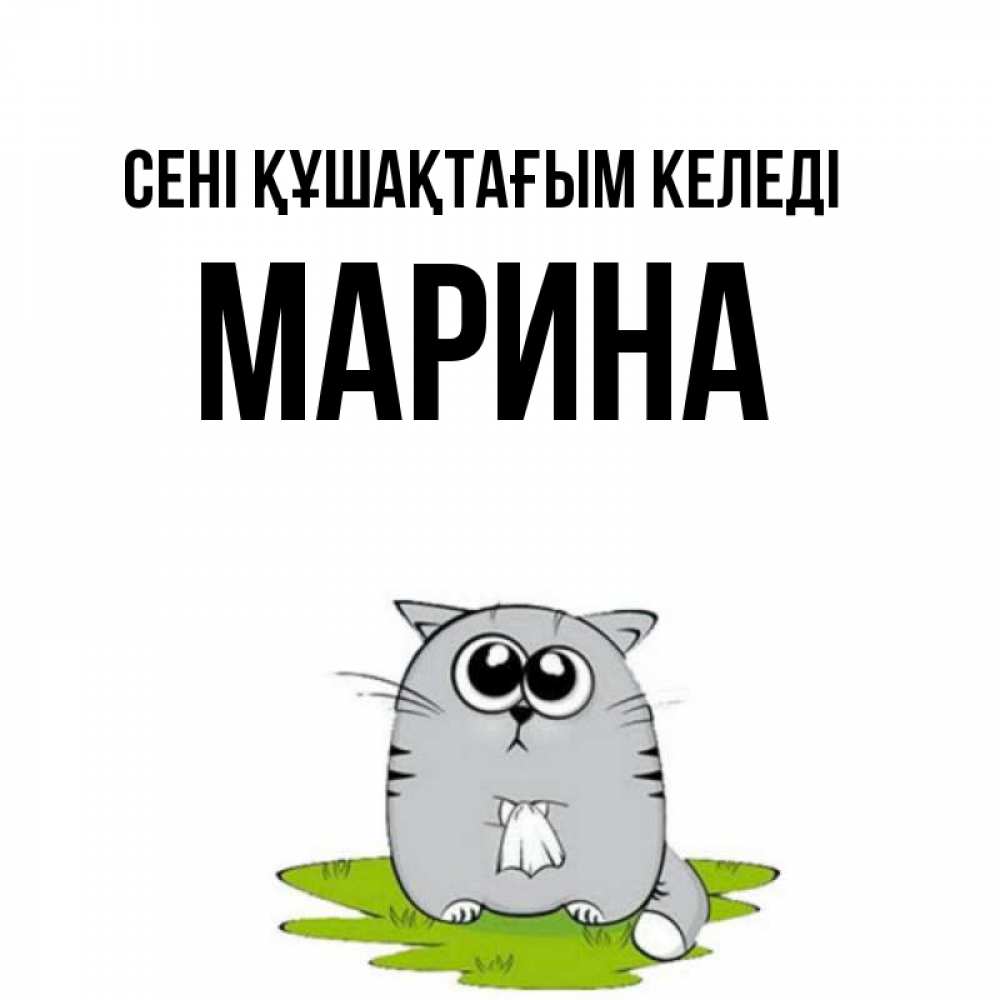 Күн сайын ашық хат с именем, Марина сені құшақтағым келеді котик теребит платочек сидя на травке Онлайн тегін жүктеп алу тілектері бар керемет карта 