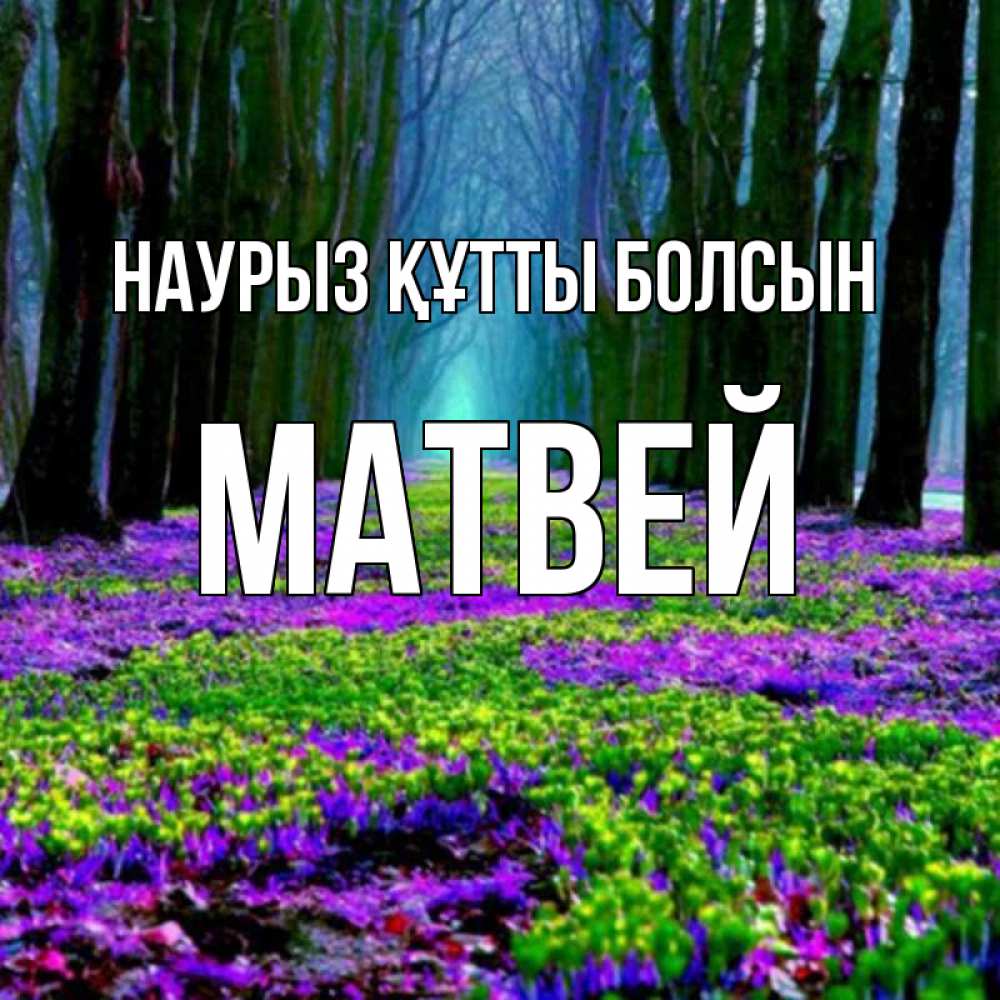 Күн сайын ашық хат с именем, Матвей Наурыз құтты болсын фиолетовые цветы в лесу 1 Онлайн тегін жүктеп алу тілектері бар керемет карта 