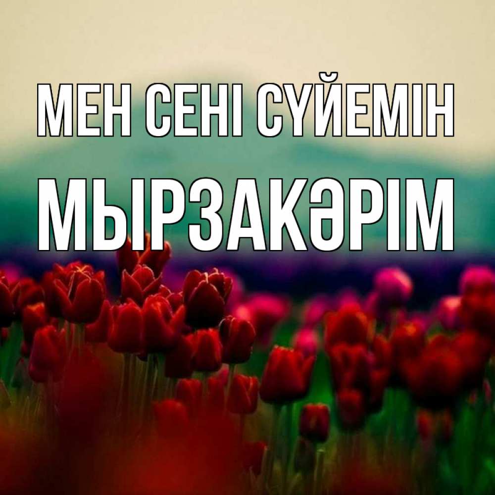 Күн сайын ашық хат с именем, Мырзакәрім Мен сені сүйемін тюльпаны 4 Онлайн тегін жүктеп алу тілектері бар керемет карта 