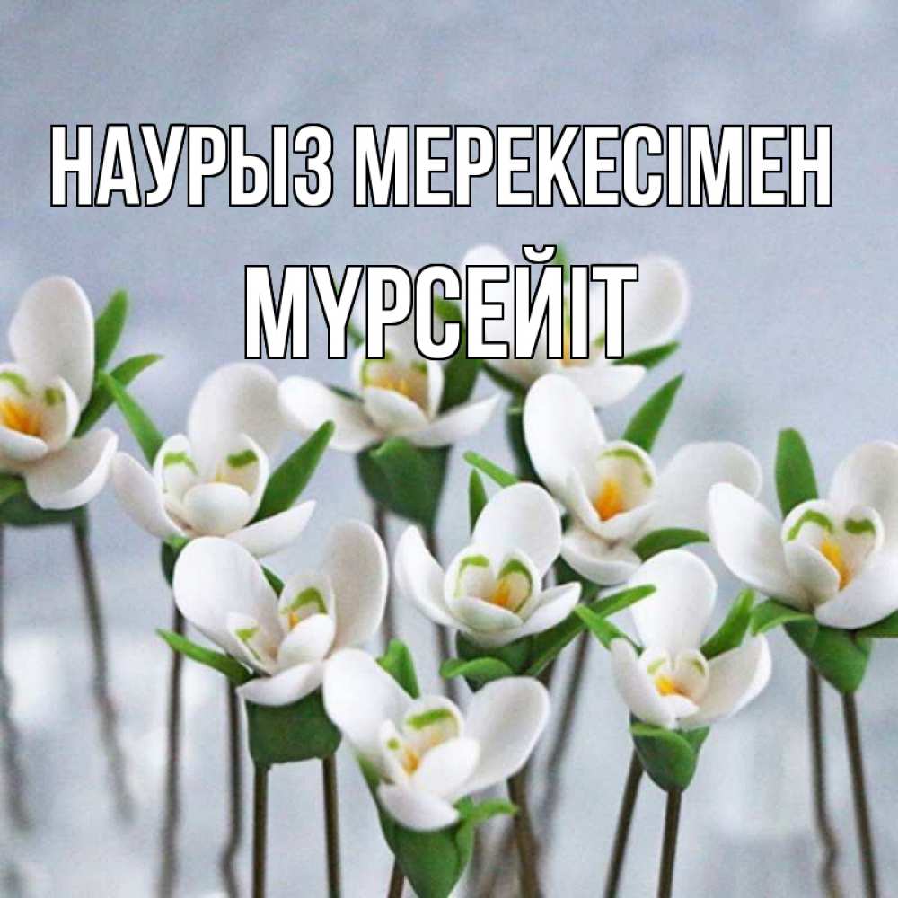 Күн сайын ашық хат с именем, МҮРСЕЙІТ Наурыз мерекесімен весенние цветы Онлайн тегін жүктеп алу тілектері бар керемет карта 