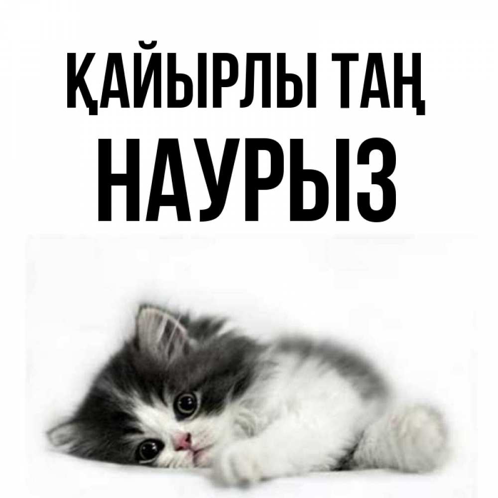 Күн сайын ашық хат с именем, НАУРЫЗ Қайырлы таң кот лапки Онлайн тегін жүктеп алу тілектері бар керемет карта 