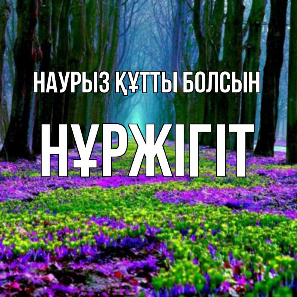 Күн сайын ашық хат с именем, НҰРЖІГІТ Наурыз құтты болсын фиолетовые цветы в лесу 1 Онлайн тегін жүктеп алу тілектері бар керемет карта 