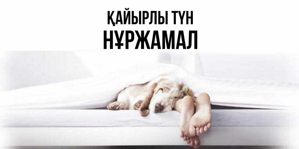 Күн сайын ашық хат с именем, НҰРЖАМАЛ Қайырлы түн кровать с собакой пожелание сладких снов и спокойной ночи Онлайн тегін жүктеп алу тілектері бар керемет карта 