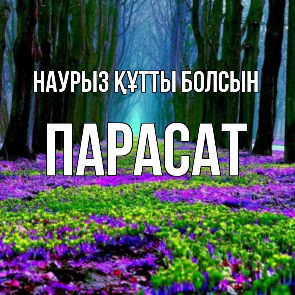 Күн сайын ашық хат с именем, ПАРАСАТ Наурыз құтты болсын фиолетовые цветы в лесу 1 Онлайн тегін жүктеп алу тілектері бар керемет карта 