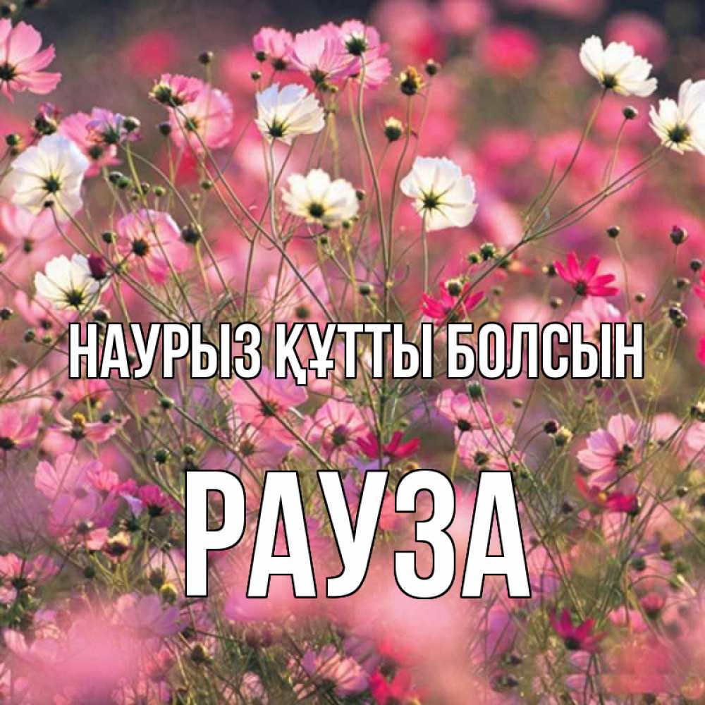 Күн сайын ашық хат с именем, РАУЗА Наурыз құтты болсын красиво 1 Онлайн тегін жүктеп алу тілектері бар керемет карта 