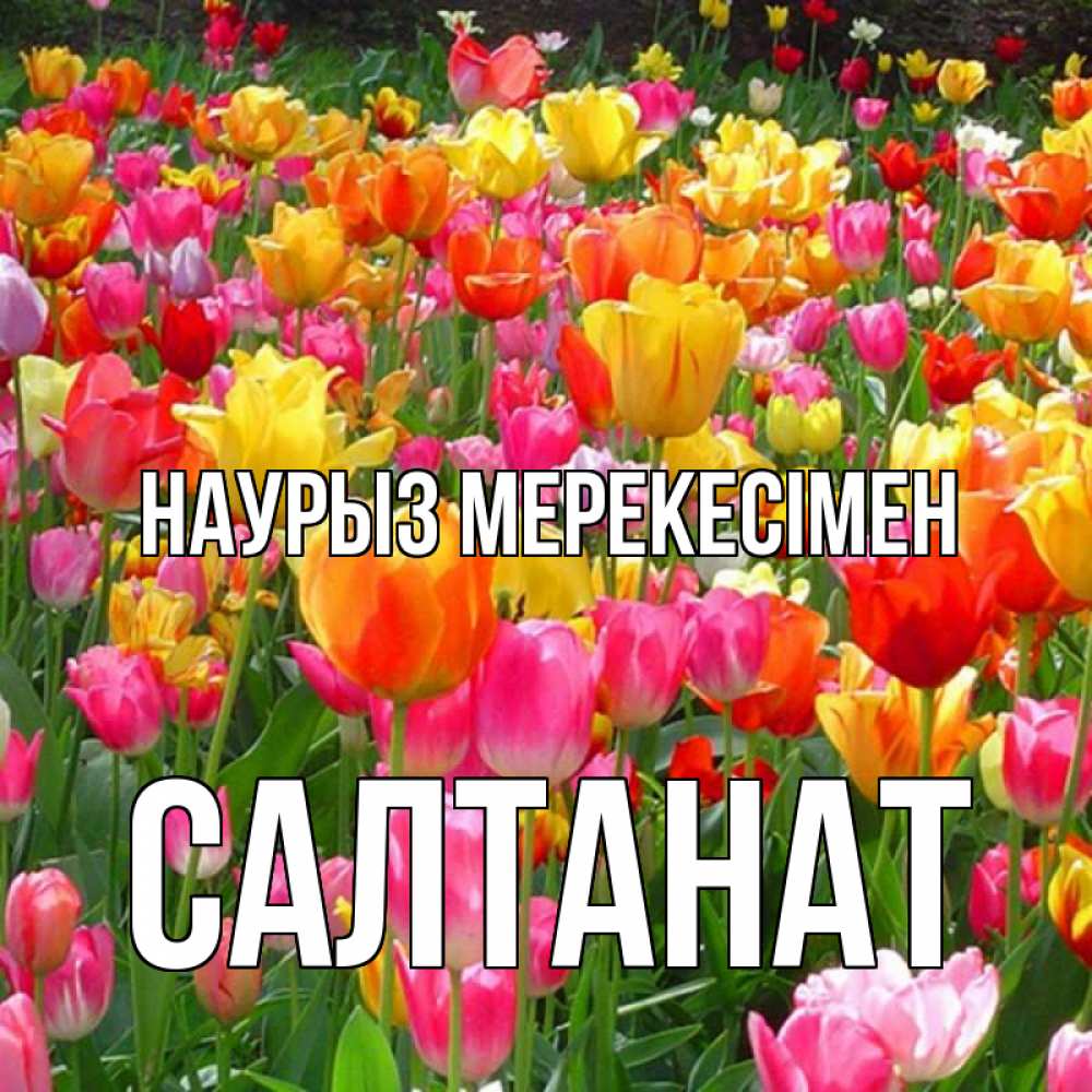 Күн сайын ашық хат с именем, САЛТАНАТ Наурыз мерекесімен праздник весны наурыз 4 Онлайн тегін жүктеп алу тілектері бар керемет карта 